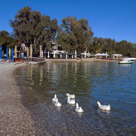 El Sol Διαμέρισμα Néa Péramos Εξωτερικό φωτογραφία